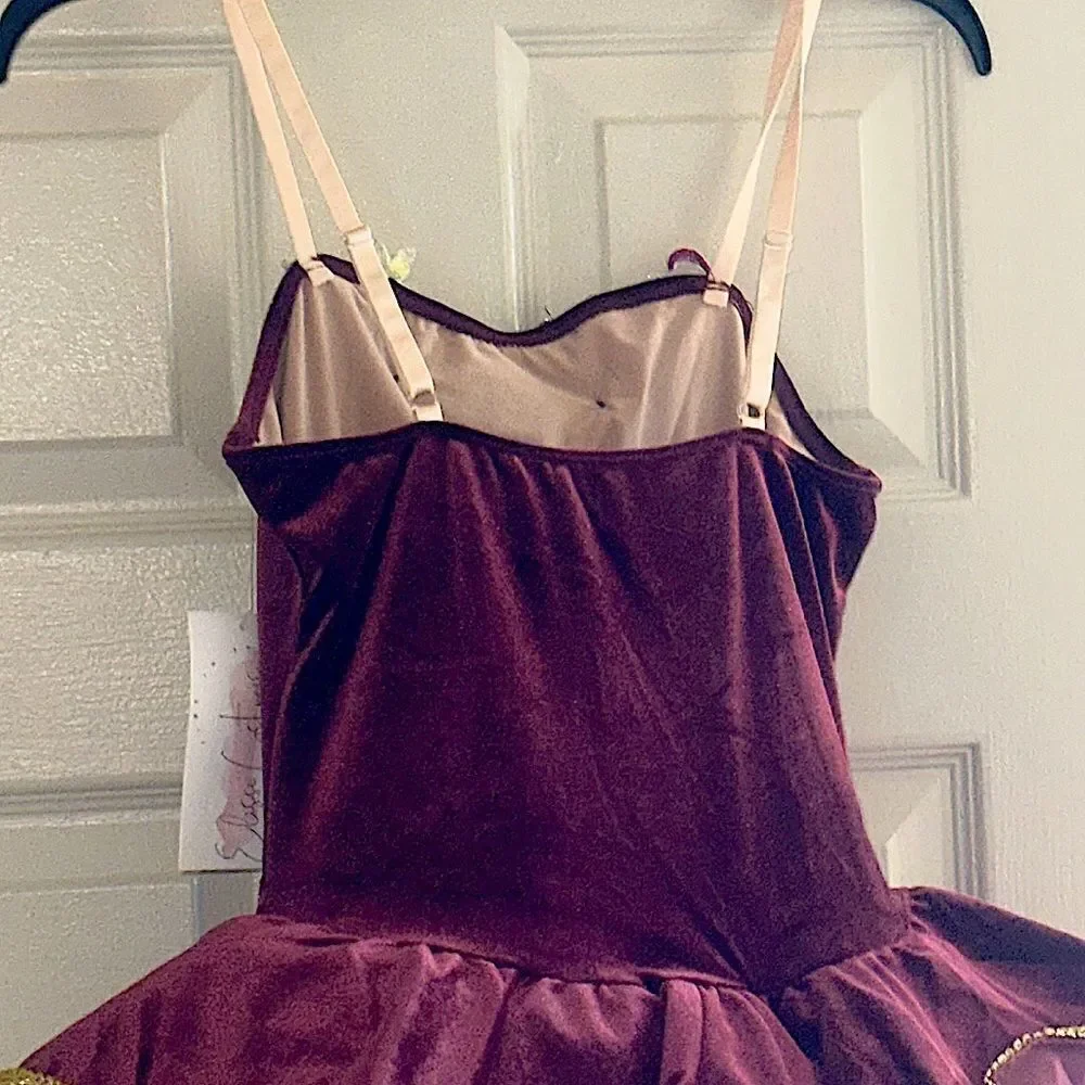 ELISSE Womens Ballet Velvet Platter Tutu Dress!